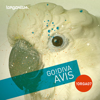 Image of GO!DIVA linking to their artist page due to link from them being at the top of the main table on this page