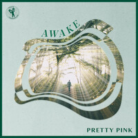 Thumbnail for the Pretty Pink - Awake link, provided by host site