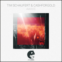 Image of Tim Schaufert linking to their artist page due to link from them being at the top of the main table on this page