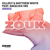 Image of Killogy linking to their artist page due to link from them being at the top of the main table on this page
