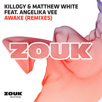 Thumbnail for the Killogy - Awake (Remixes) link, provided by host site