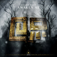 Thumbnail for the Sound Rush - Awaken Me link, provided by host site