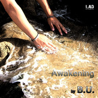 Thumbnail for the B.U. - Awakening link, provided by host site