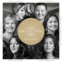 Thumbnail for the Tina Turner - Awakening Beyond link, provided by host site