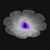 Thumbnail for the Meditation Music - Awareness link, provided by host site