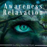 Thumbnail for the First Second - Awareness Relaxation: the Best Soothing New Age Music for Massage, Zen Music for Deep Relaxation link, provided by host site