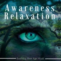 Thumbnail for the First Second - Awareness Relaxation: The Best Soothing New Age Music for Massage, Zen Music for Deep Relaxation link, provided by host site