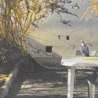 Thumbnail for the Hessian - Awash link, provided by host site