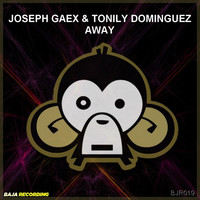 Image of Joseph Gaex linking to their artist page due to link from them being at the top of the main table on this page