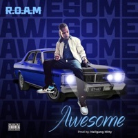 Thumbnail for the ROAM - Awesome link, provided by host site