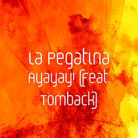 Thumbnail for the La Pegatina - Ayayay! link, provided by host site