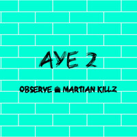 Thumbnail for the Observe - Aye 2 link, provided by host site
