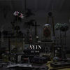 Thumbnail for the Evil Twin - Ayin link, provided by host site