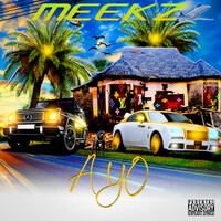 Thumbnail for the Meekz - Ayo link, provided by host site