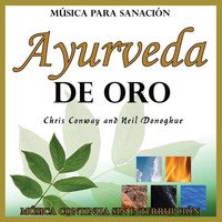 Thumbnail for the Chris Conway - Ayurveda de Oro: Música para Sanación: Música Continua Sin Interrupción link, provided by host site