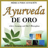 Thumbnail for the Chris Conway - Ayurveda de Oro: Música para Sanación: Música Continua Sin Interrupción link, provided by host site
