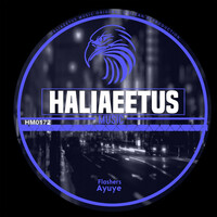 Thumbnail for the Flashers - Ayuye link, provided by host site