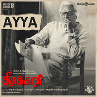 Thumbnail for the Govind Vasantha - Ayya (From "Seethakaathi") link, provided by host site