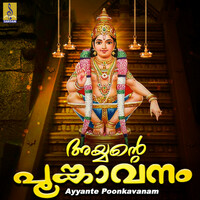 Thumbnail for the Harish - Ayyante Poonkavanam link, provided by host site
