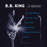 Thumbnail for the B.B. King - B.B. King & Friends link, provided by host site