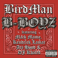 Thumbnail for the Birdman - B-Boyz link, provided by host site