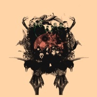 Thumbnail for the The Coral - B-Sides link, provided by host site