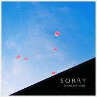 Thumbnail for the "Sorry" - B-Sides and Rarities link, provided by host site