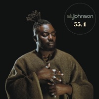Thumbnail for the Sly Johnson - B******t (I Can't Stand It No More) link, provided by host site