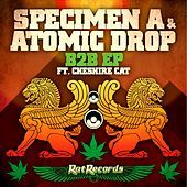 Thumbnail for the Specimen A - B2B link, provided by host site