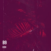 Thumbnail for the Oni - B9 link, provided by host site