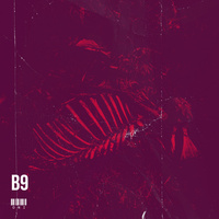 Thumbnail for the Oni - B9 link, provided by host site