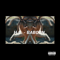 Thumbnail for the H.C. - Baboon link, provided by host site