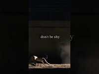 Thumbnail for the Daya - Baby can you feel the heat? #newmusic #synthpop #electronic #altpop link, provided by host site