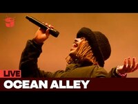 Thumbnail for the Ocean Alley - 'Baby Come Back' (live at Splendour In The Grass 2023) link, provided by host site