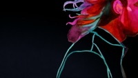 Thumbnail for the Breakbot - Baby I'm Yours [Official Video] link, provided by host site