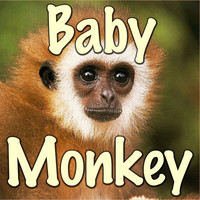 Thumbnail for the BLOB - Baby Monkey link, provided by host site