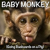 Thumbnail for the BLOB - Baby Monkey (Going Backwards On a Pig) link, provided by host site