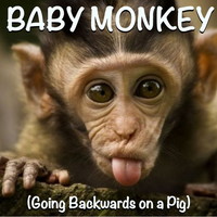 Thumbnail for the BLOB - Baby Monkey (Going Backwards on a Pig) link, provided by host site