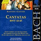 Thumbnail for the Bach-Collegium Stuttgart - Bach: Cantatas BWV 43-45 link, provided by host site