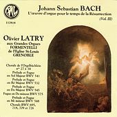 Thumbnail for the Olivier Latry - Bach: L'oeuvre d'orgue pour le temps de la Résurrection link, provided by host site