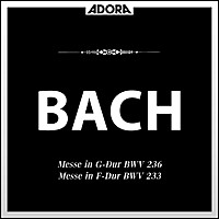 Thumbnail for the Johann Sebastian Bach - Bach: Messe, BWV 236 - Messe, BWV 233 link, provided by host site