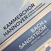 Thumbnail for the Kammerchor Hannover - Bach & Sandström: Motets link, provided by host site