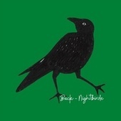 Thumbnail for the Nightbirde - Back link, provided by host site