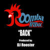 Thumbnail for the DJRooster - Back link, provided by host site