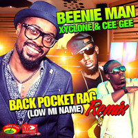 Thumbnail for the Xyclone - Back Pocket Rag Remix link, provided by host site