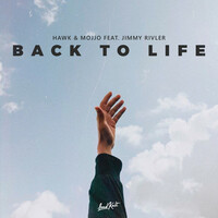 Thumbnail for the Hawk - Back to Life link, provided by host site