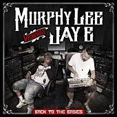 Thumbnail for the Murphy Lee - Back to the Basics link, provided by host site