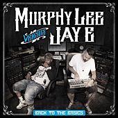 Thumbnail for the Murphy Lee - Back to the Basics link, provided by host site