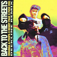 Thumbnail for the Origin8a & Propa - Back To The Streets (Deekline Remix) link, provided by host site