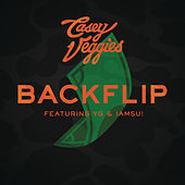 Thumbnail for the Casey Veggies - Backflip link, provided by host site